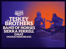 The Teskey Brothers